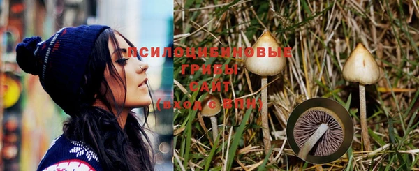 jwh Струнино