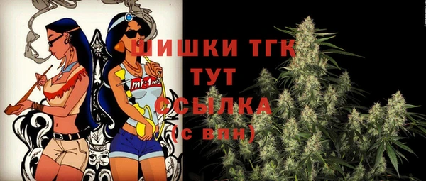 гидра Армянск