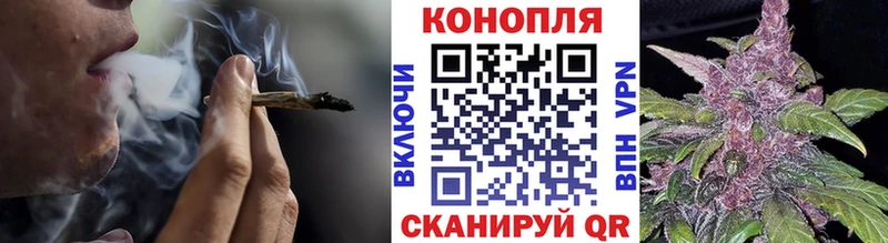 Марихуана сатива  Чердынь 